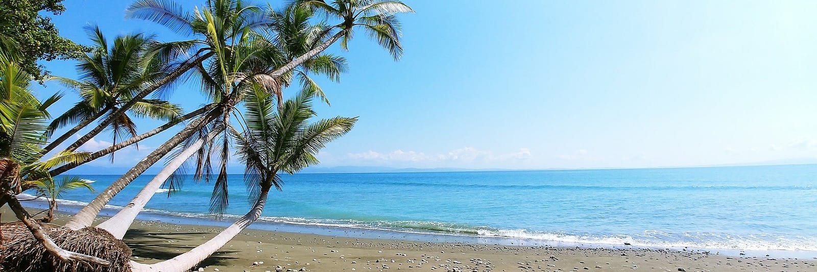 Beaches