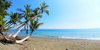 Beaches